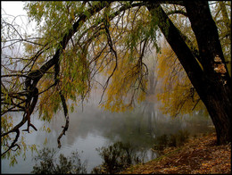 Herbst-Skizzen / ***