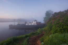 Morning Frische. / ***