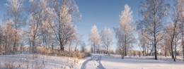 Winterwald. / ***