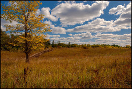 Herbst-Skizzen / ***