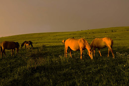 Bei Sonnenuntergang / ***