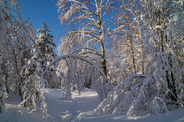 Februar-Morgen / ***
