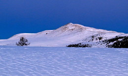 Morgendämmerung / ***