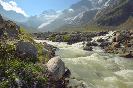 Sommer in den Bergen / ***