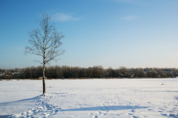Winter / ***