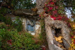 Together Forever / ***