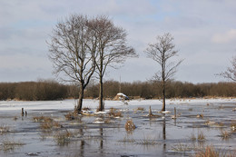 Winterhochwasser / ***