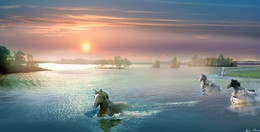 Startseite ... / ***