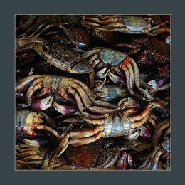 &nbsp; / music: Count Basie - Switch in Time
https://www.youtube.com/watch?v=Kwmg47jQhMc