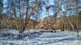 Ein Spaziergang durch den Park. / ***