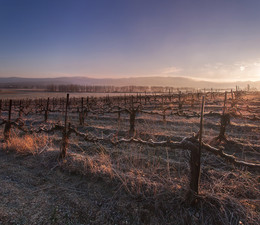 Februar-Morgen / ***