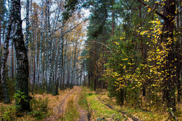 Wind des Wandels / ***