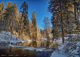 Morgen in den Winterwald. / ***