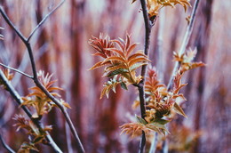 Herbstfarben / vscocam