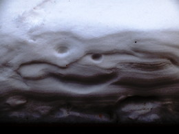 &nbsp; / 2018-02-15-10-C13-096(80)