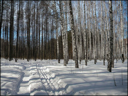 Eine schöne denek / ***