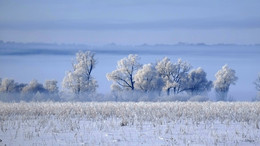 Frostigen Morgen . / ***