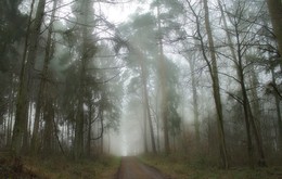 Misty Januar / ***