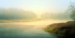 Herbstnebel ... / ***