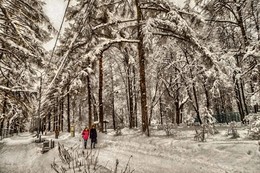 Ein Spaziergang durch den Park. / ***