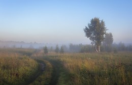 Sommermorgen. / ***