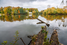 Alte Teich. / ***