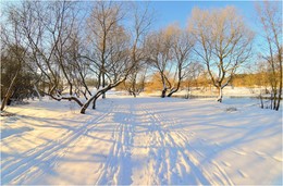 Winterwanderung / ***