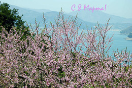 Ab dem 8. März! / ***