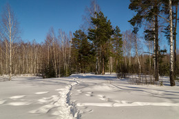 Das Ende des Winters / ***