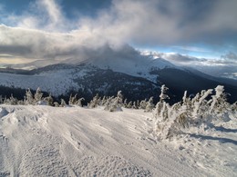 &nbsp; / [img]https://i.imgur.com/OM1ef7l.jpg[/img]
[img]https://i.imgur.com/9LHWMVO.jpg[/img]
