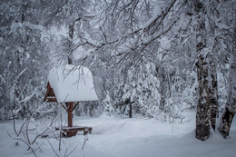 Wintermärchen / ***