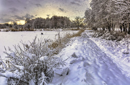 Einsamer Fischer / ***