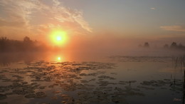 Dämmerung auf dem See. / ***