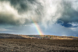 Regenbogen / ***