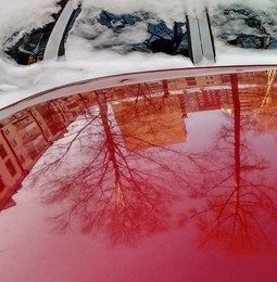 &nbsp; / [img]https://a.radikal.ru/a25/1803/ec/b2b6f3ecf798.jpg[/img]

[img]https://b.radikal.ru/b10/1803/91/fc83472187ff.jpg[/img]