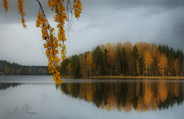 Goldenen Farben des Herbstes / ***