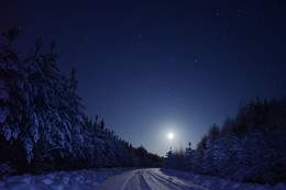 Moonlit Road / ***