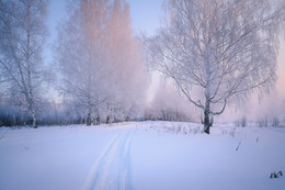 Frostigen Morgen . / ***