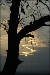 Morgendämmerung / ***