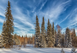 Winter / ***