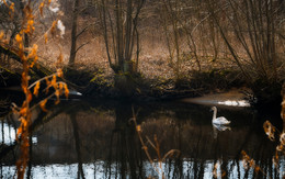 Auf dem Fluss / ***