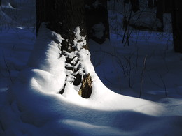 in der Sonne / 2018-03-25-066-C00-072