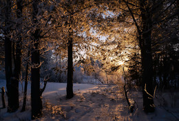 Sonnenaufgang über dem Fluss / ***