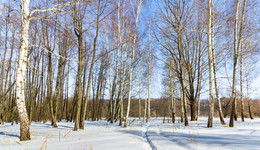 in der Sonne / ***