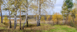 Herbst / ***