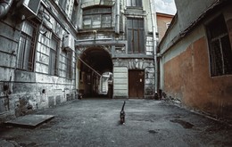 / ***