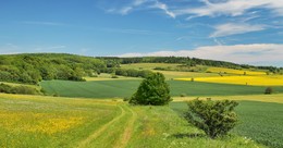 Als der Frühling kam / ***