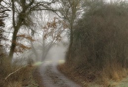 Straße im Nebel / ***