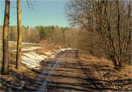 Frühlingsstraße / ***