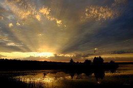 Morgendämmerung / ***